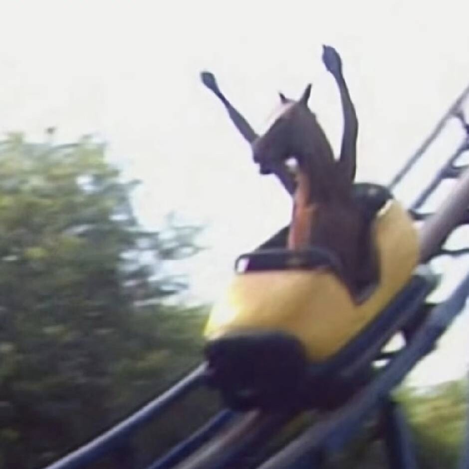 Profile photo of Jiaqi Wang